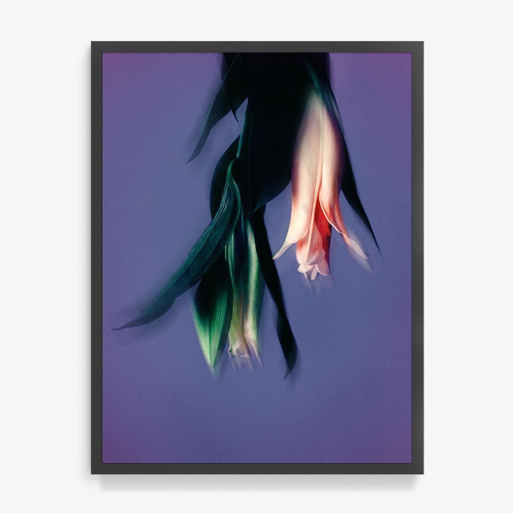 Photograph by Katie Burdon