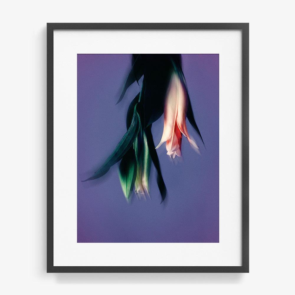 Photograph by Katie Burdon