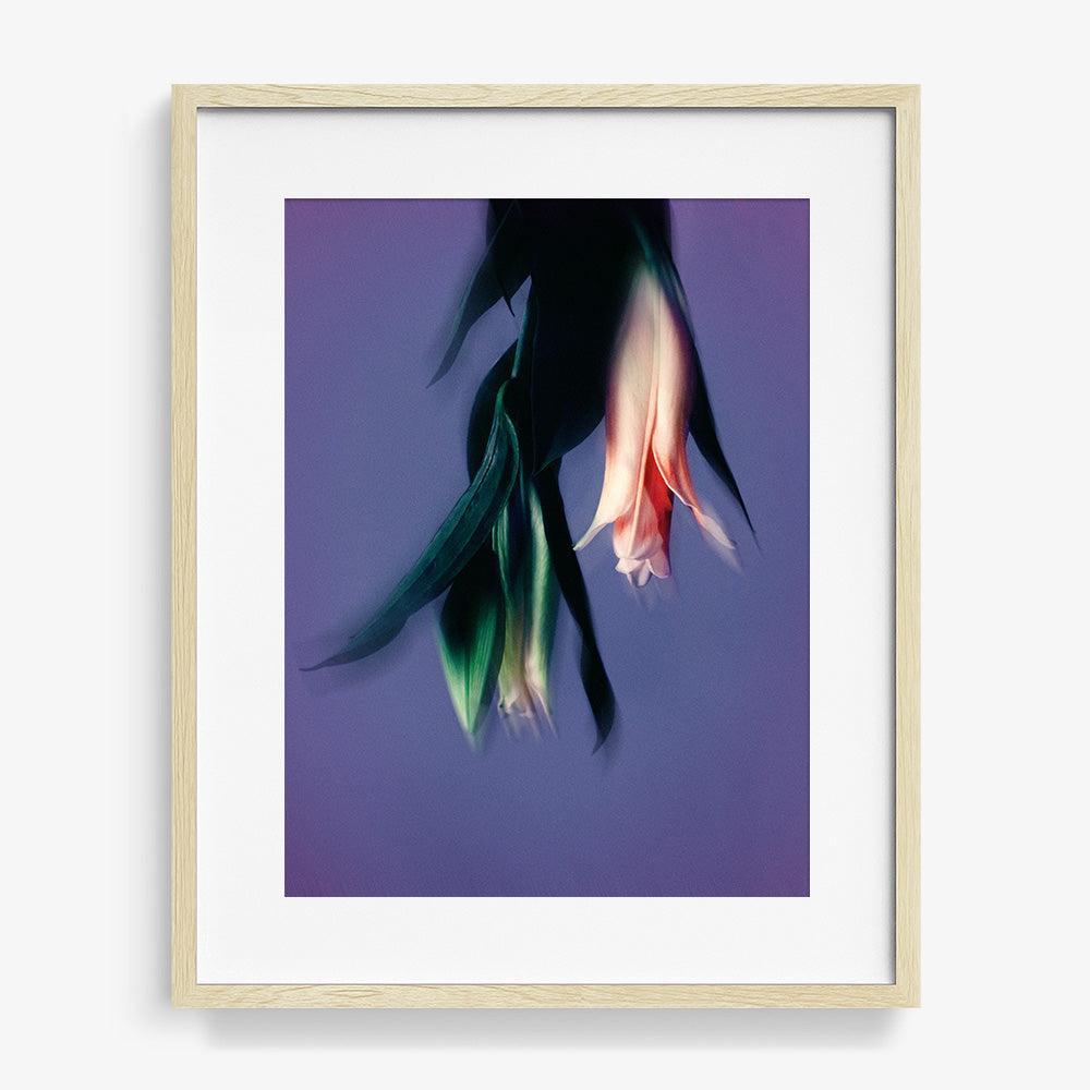 Photograph by Katie Burdon