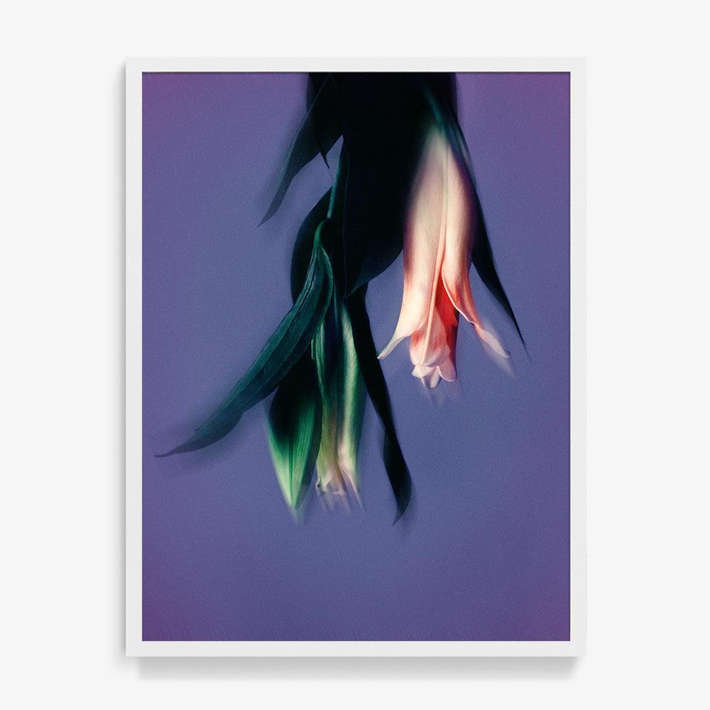 Photograph by Katie Burdon