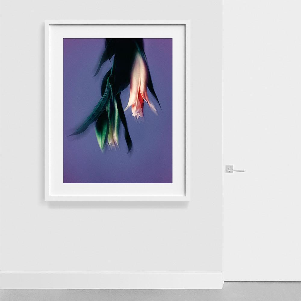 Photograph by Katie Burdon