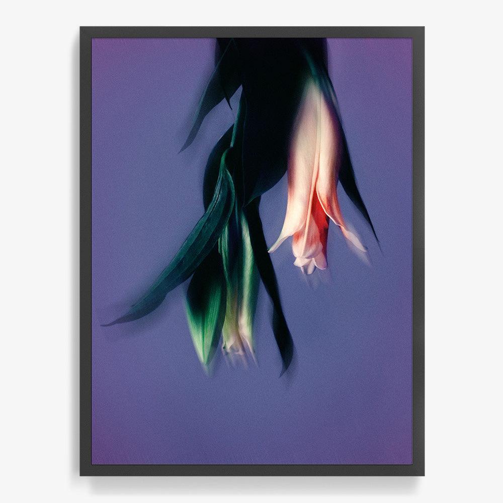 Photograph by Katie Burdon