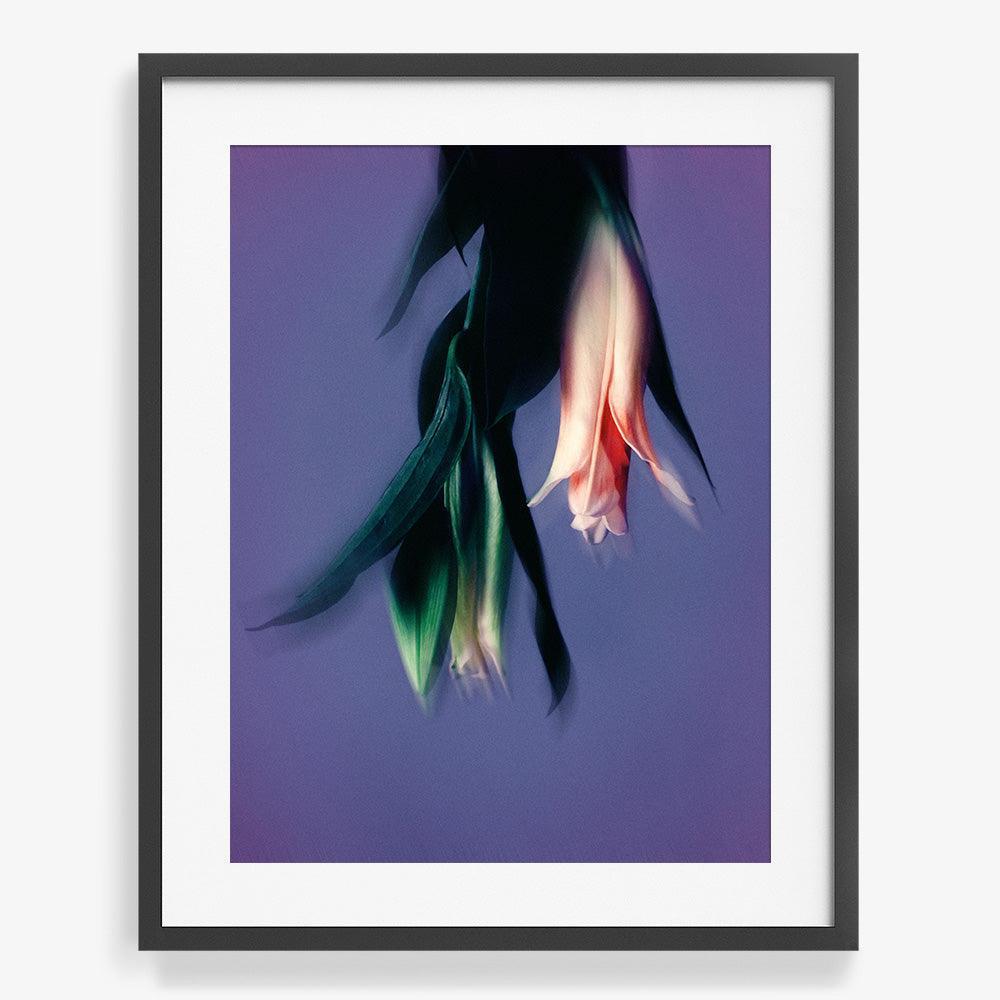 Photograph by Katie Burdon