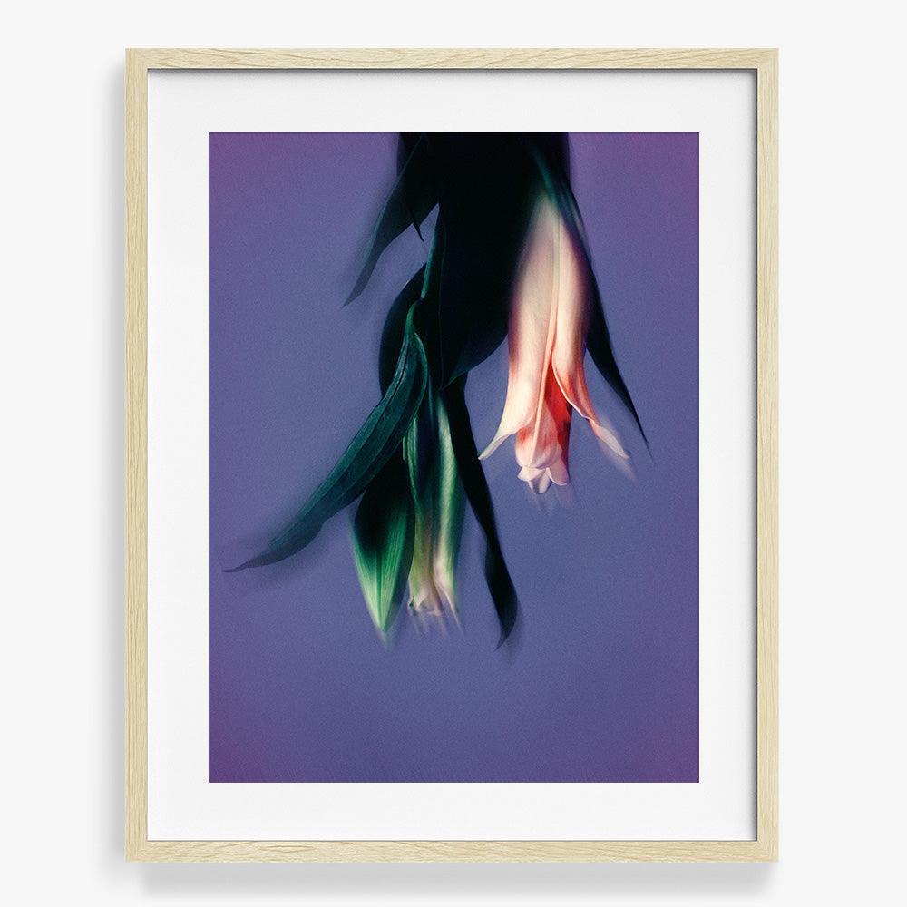 Photograph by Katie Burdon