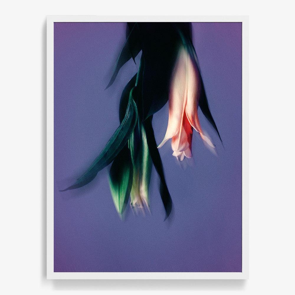 Photograph by Katie Burdon