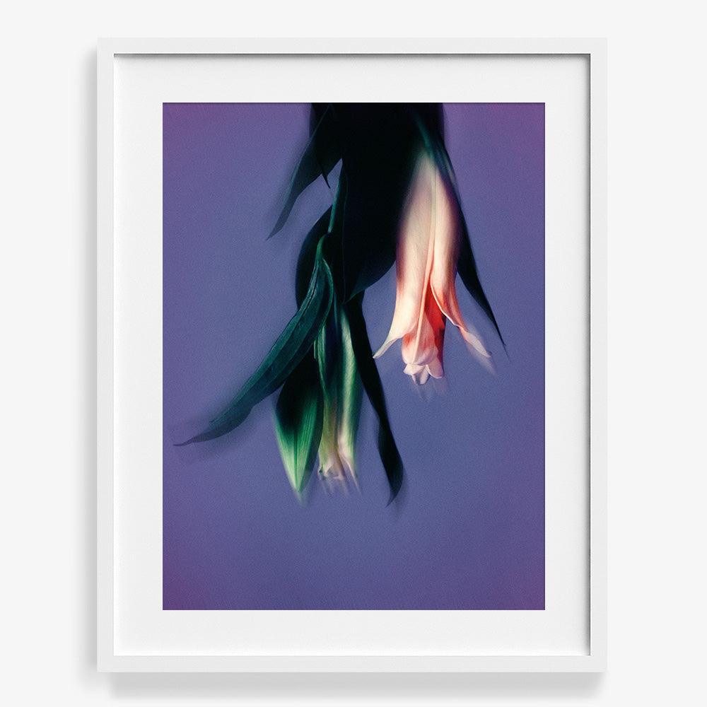 Photograph by Katie Burdon