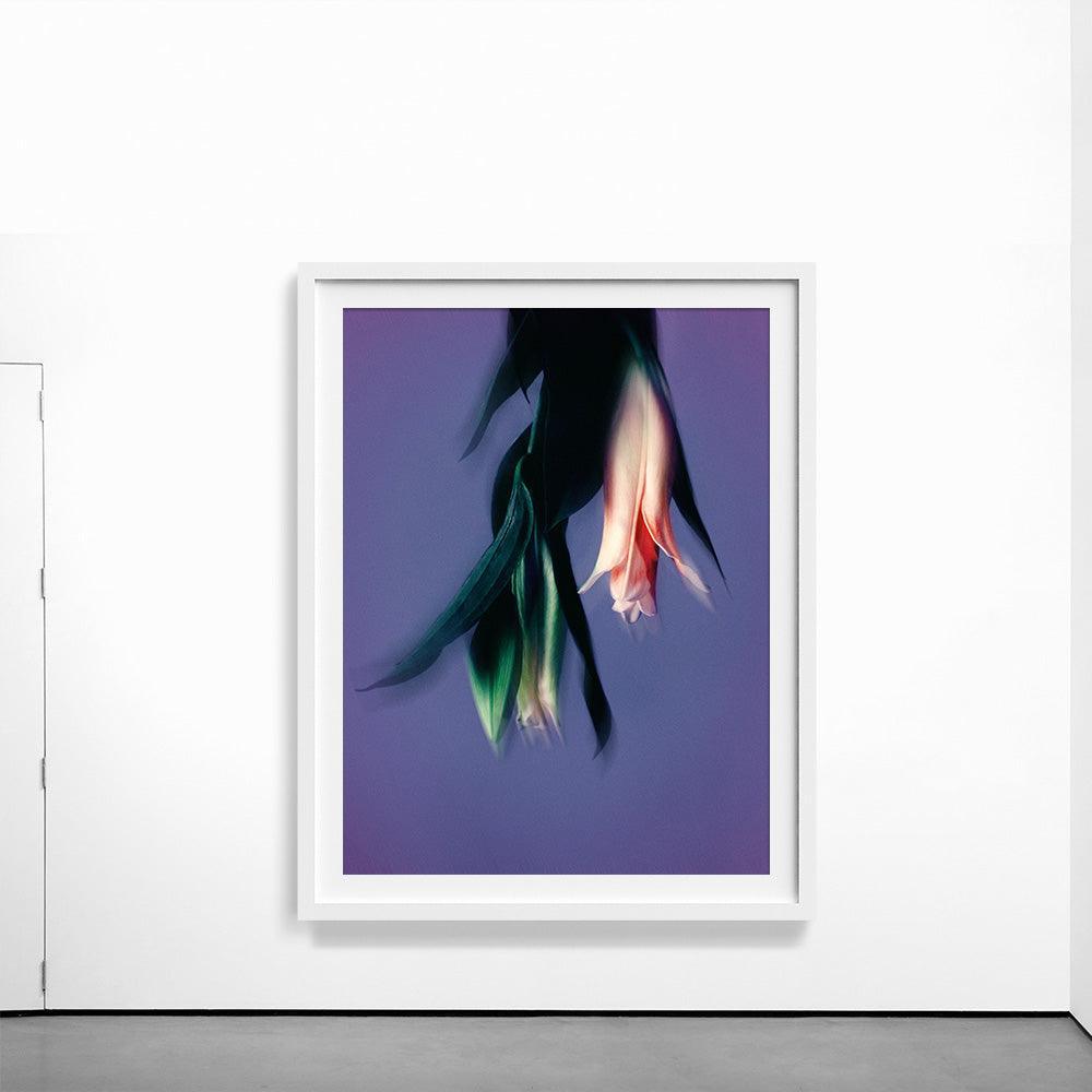 Photograph by Katie Burdon