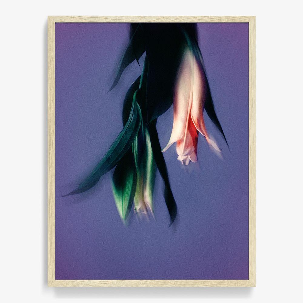 Photograph by Katie Burdon