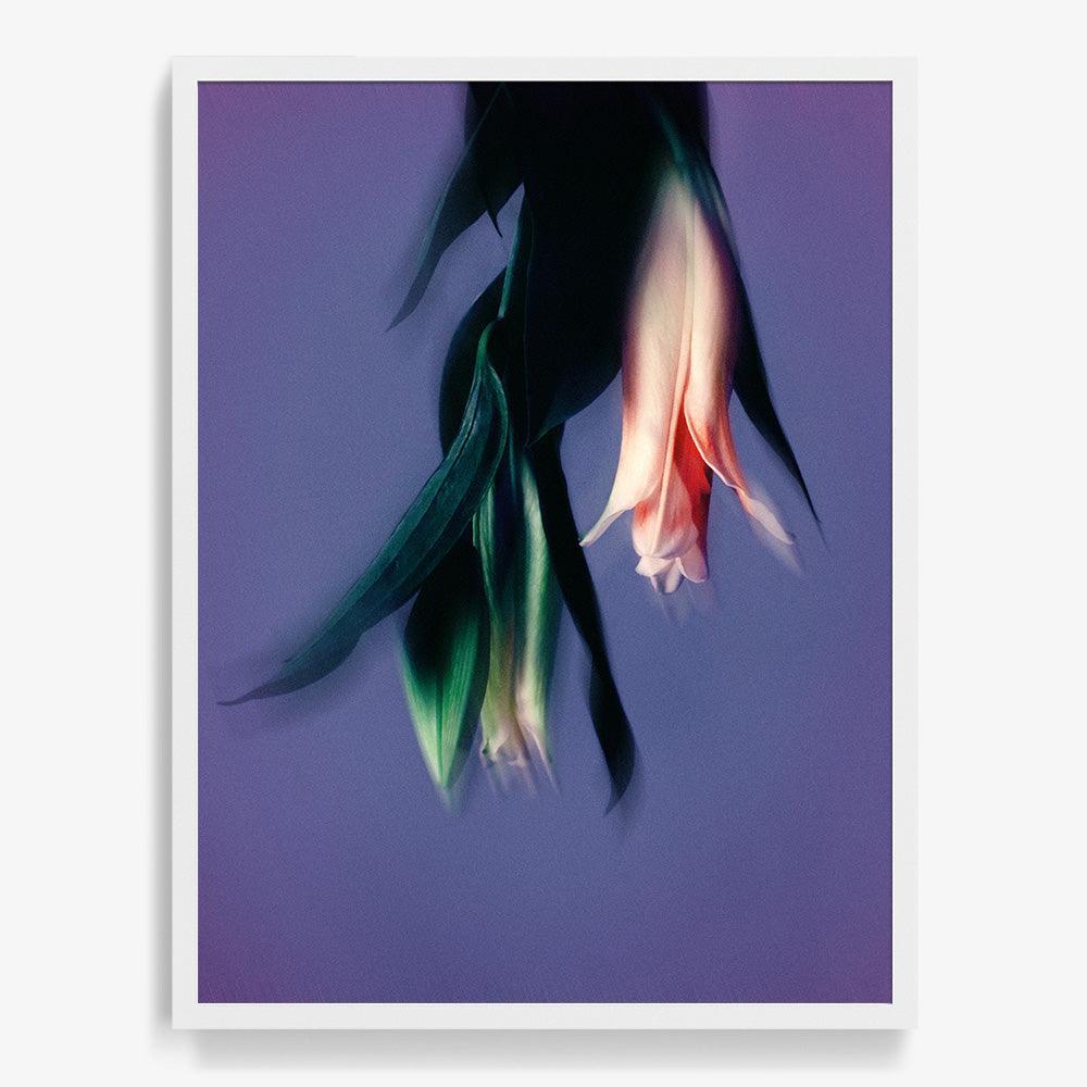 Photograph by Katie Burdon