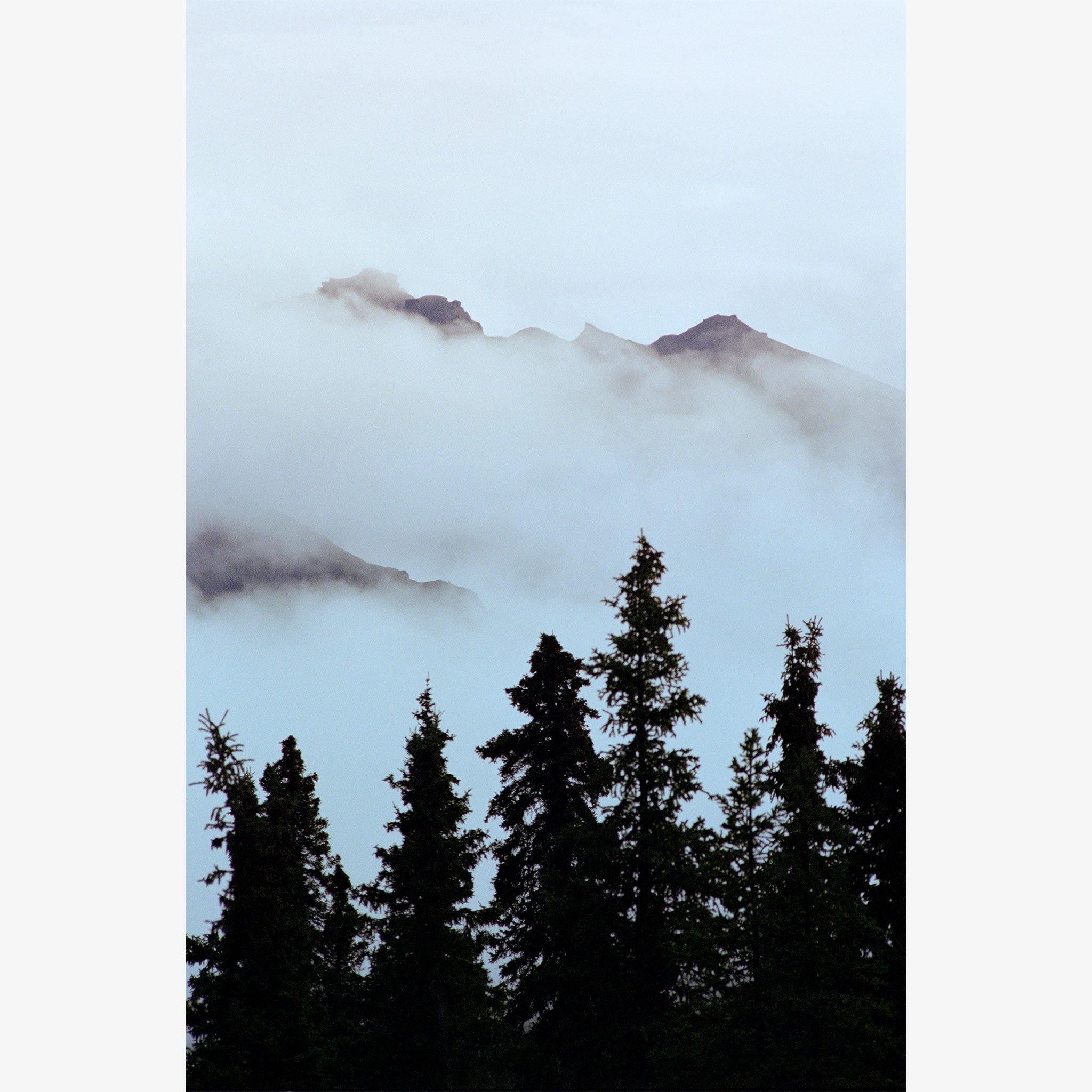 Photograph by Brian Merriam