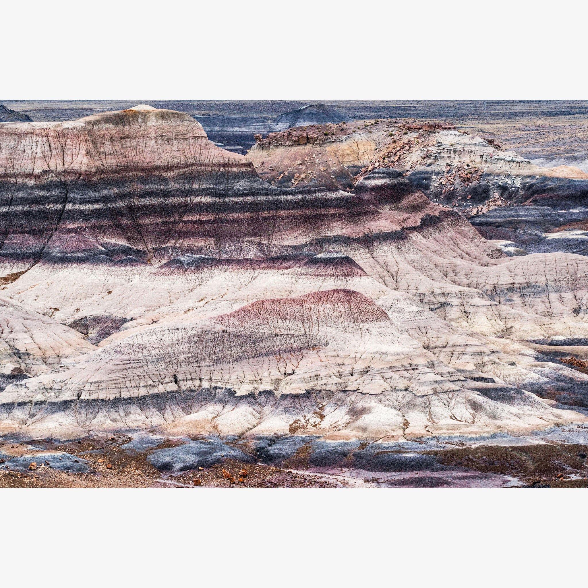 Photograph by Brian Merriam