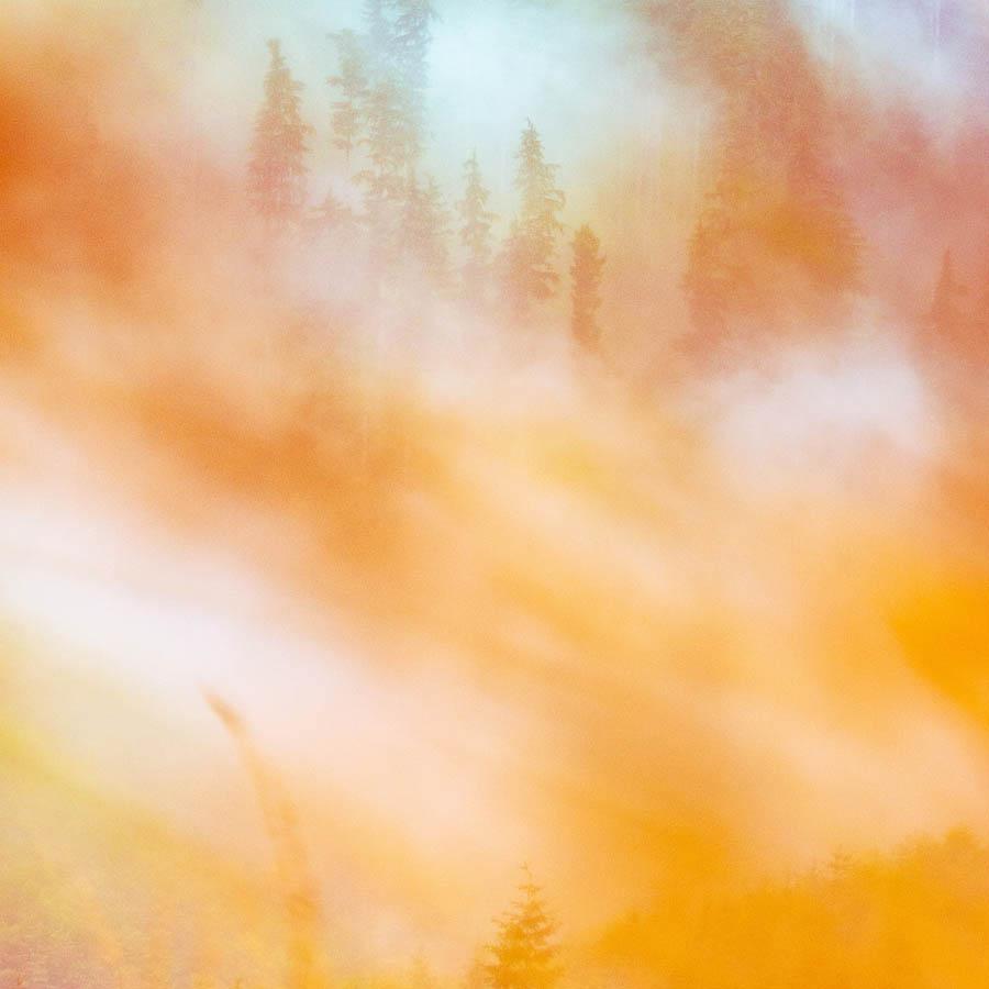 Photograph by Brian Merriam