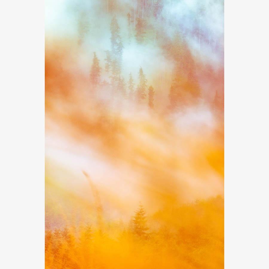 Photograph by Brian Merriam