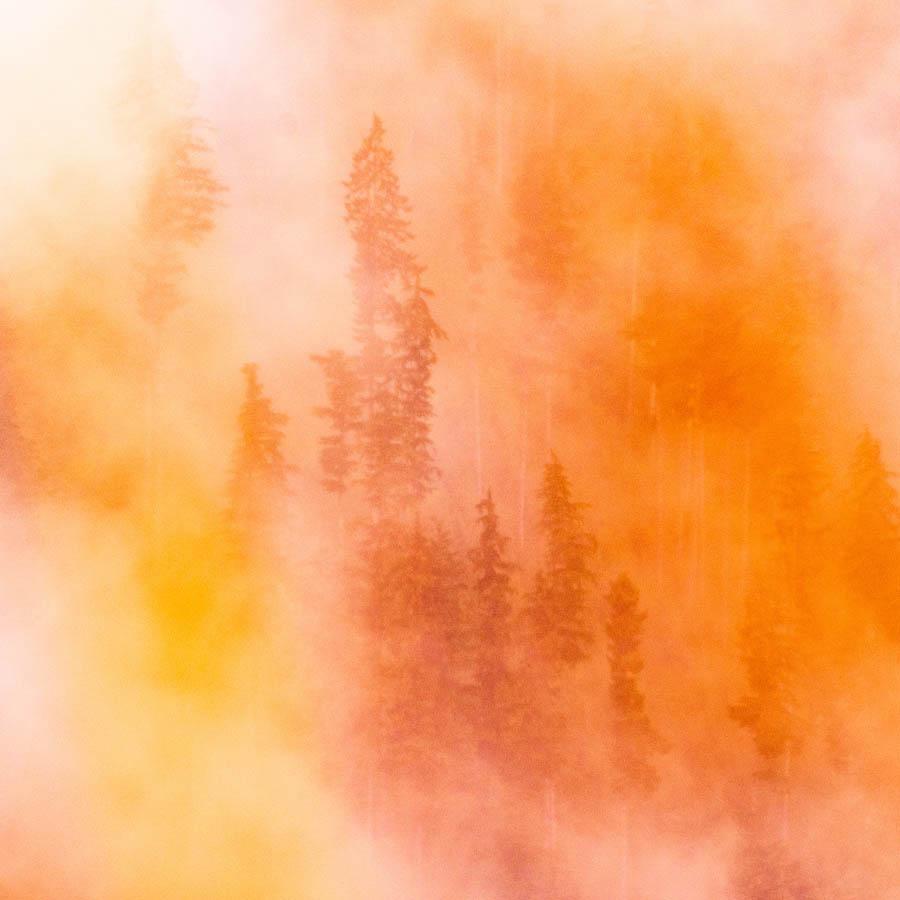 Photograph by Brian Merriam