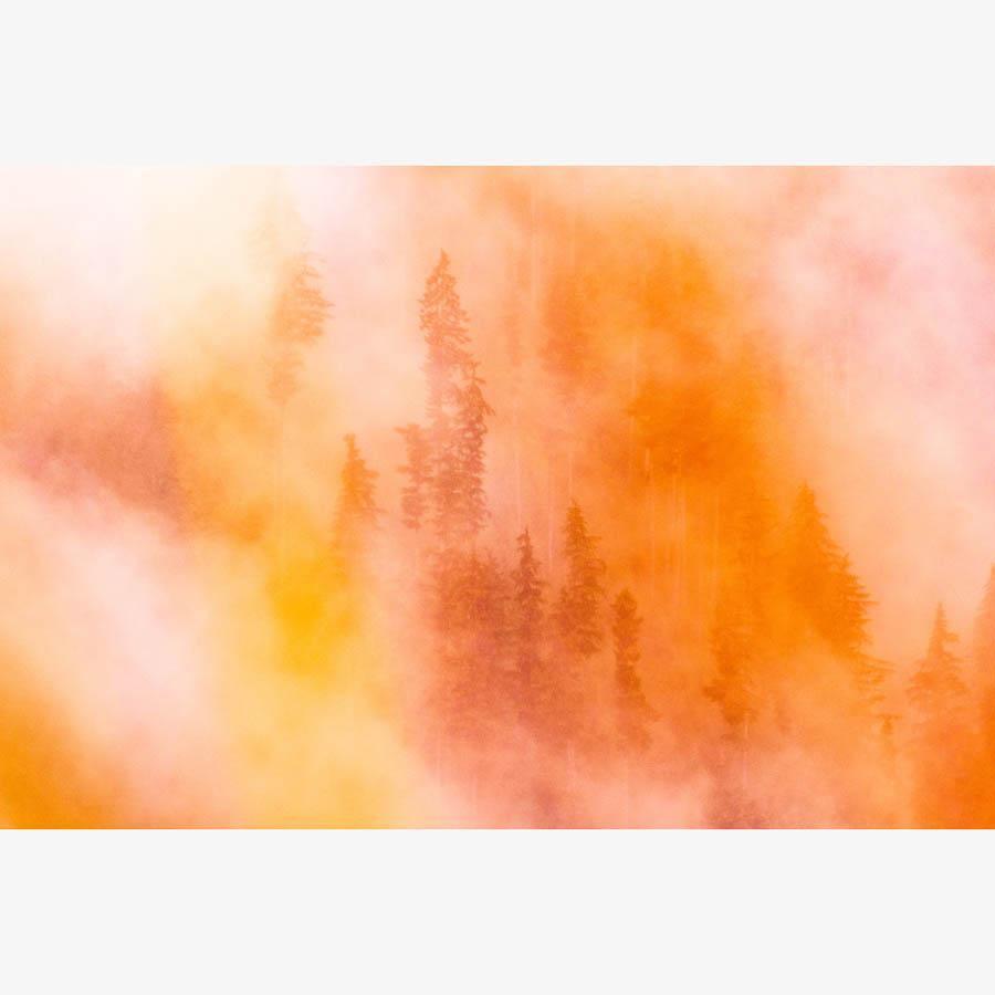 Photograph by Brian Merriam