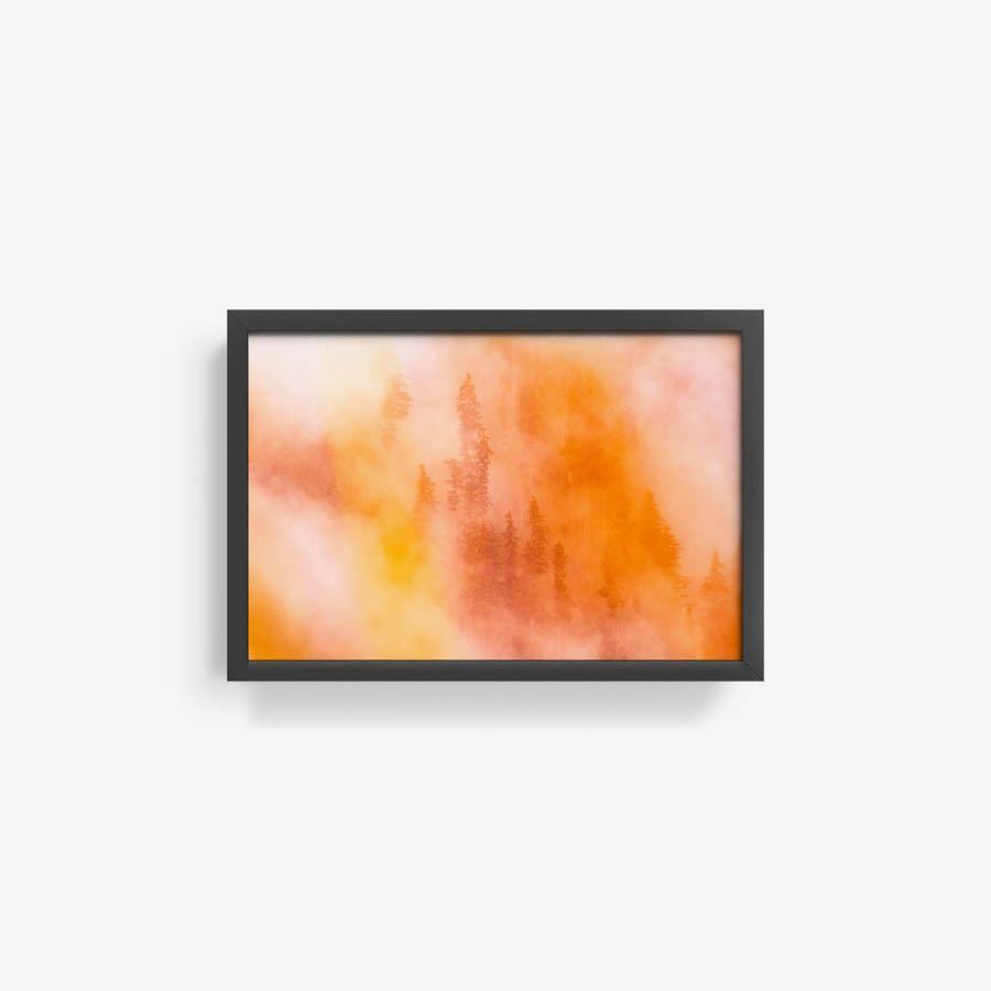 Photograph by Brian Merriam