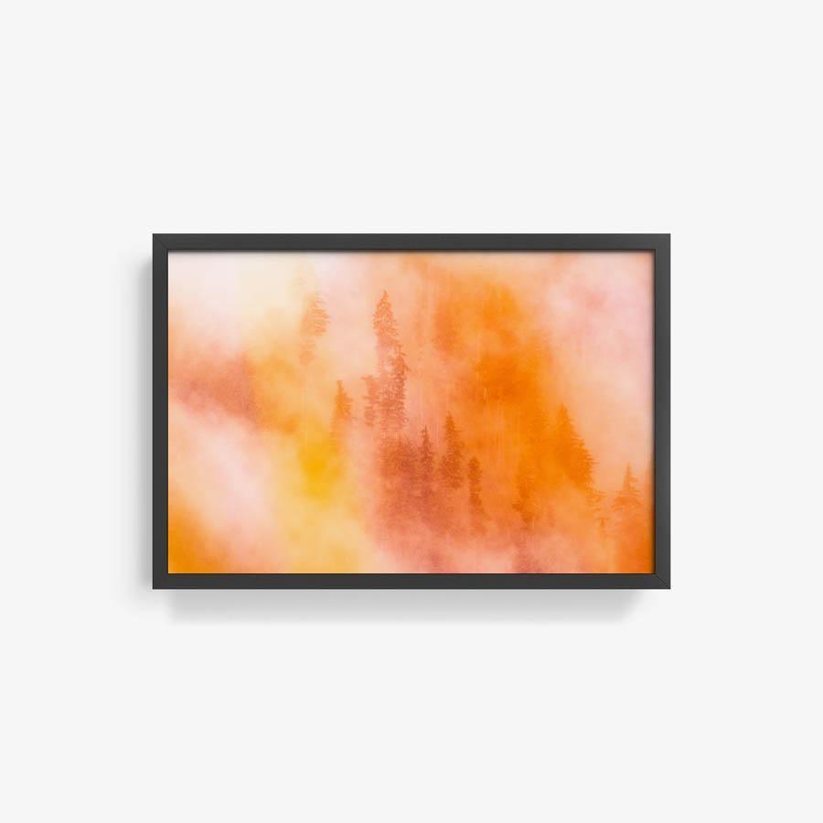 Photograph by Brian Merriam