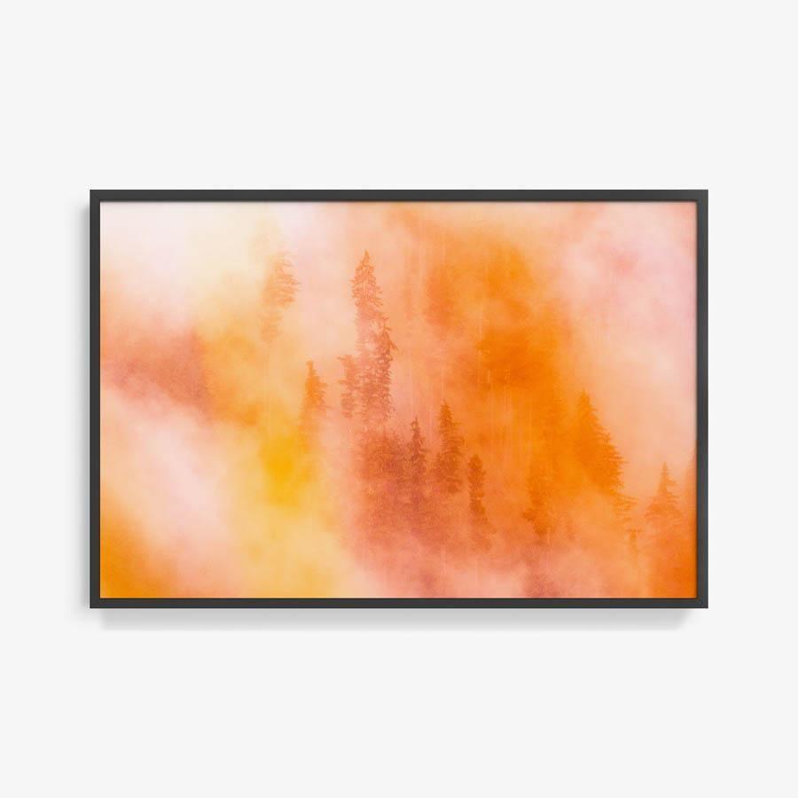 Photograph by Brian Merriam