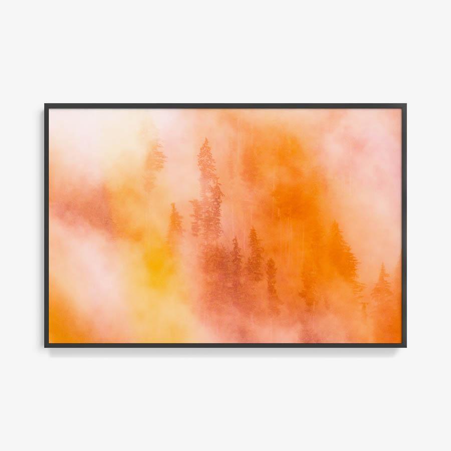 Photograph by Brian Merriam