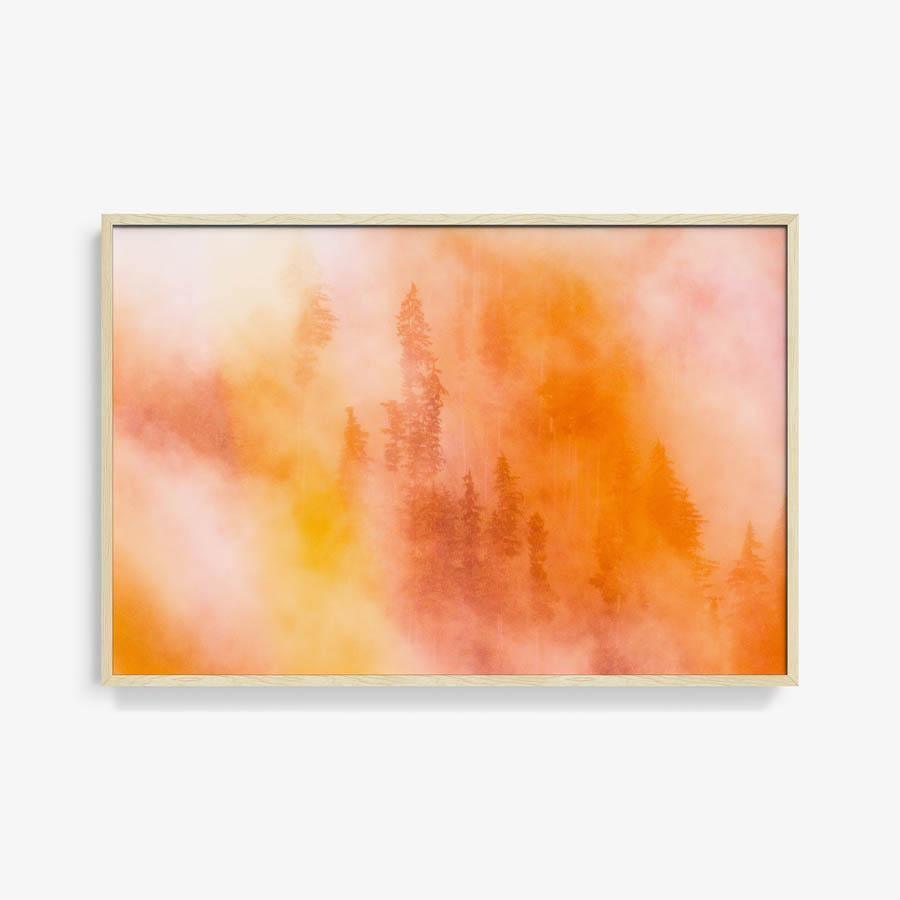 Photograph by Brian Merriam