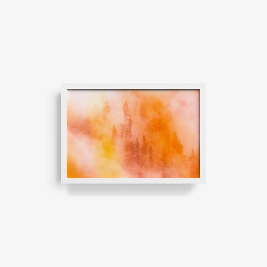 Photograph by Brian Merriam