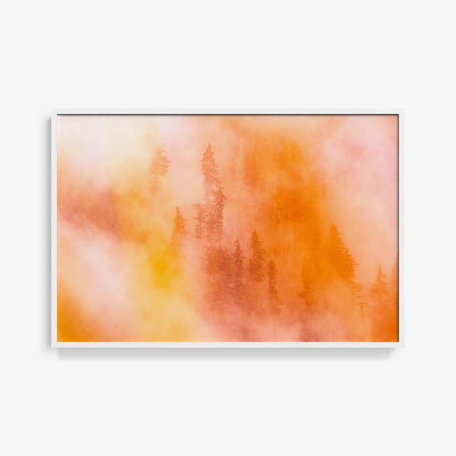 Photograph by Brian Merriam