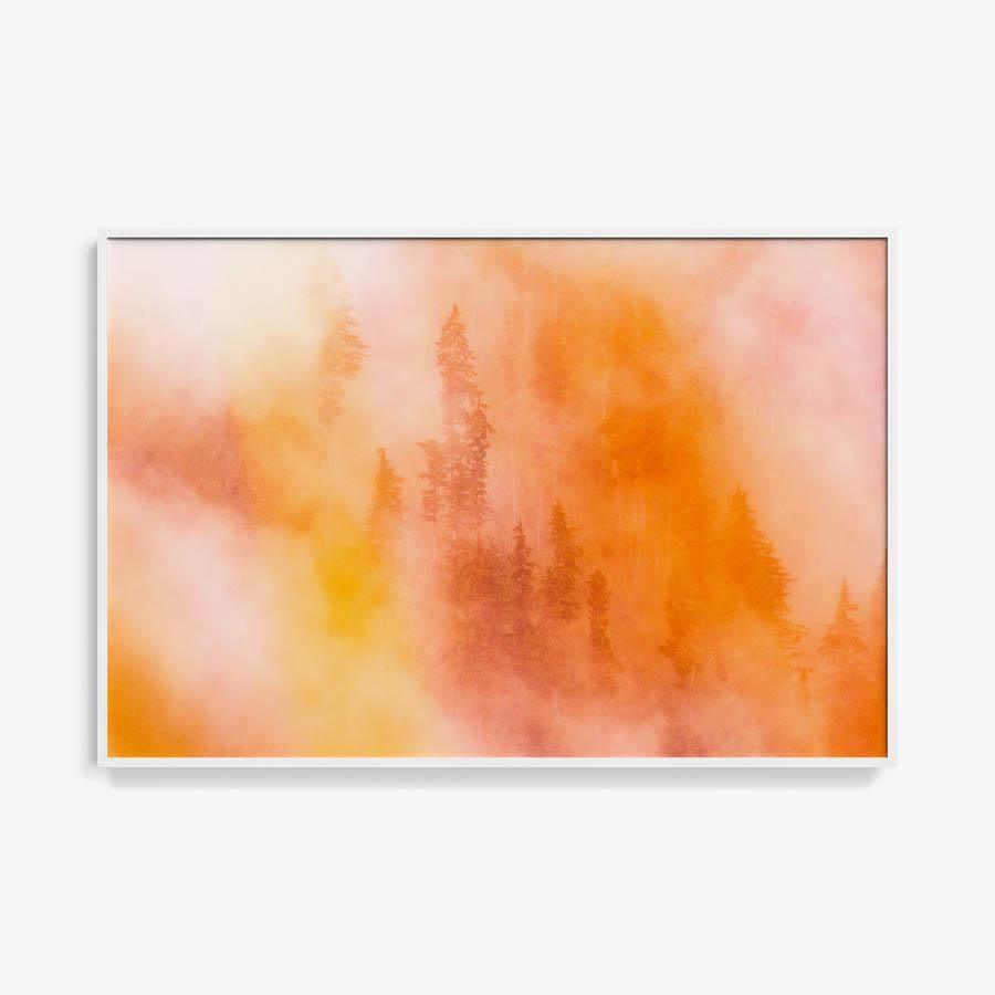 Photograph by Brian Merriam