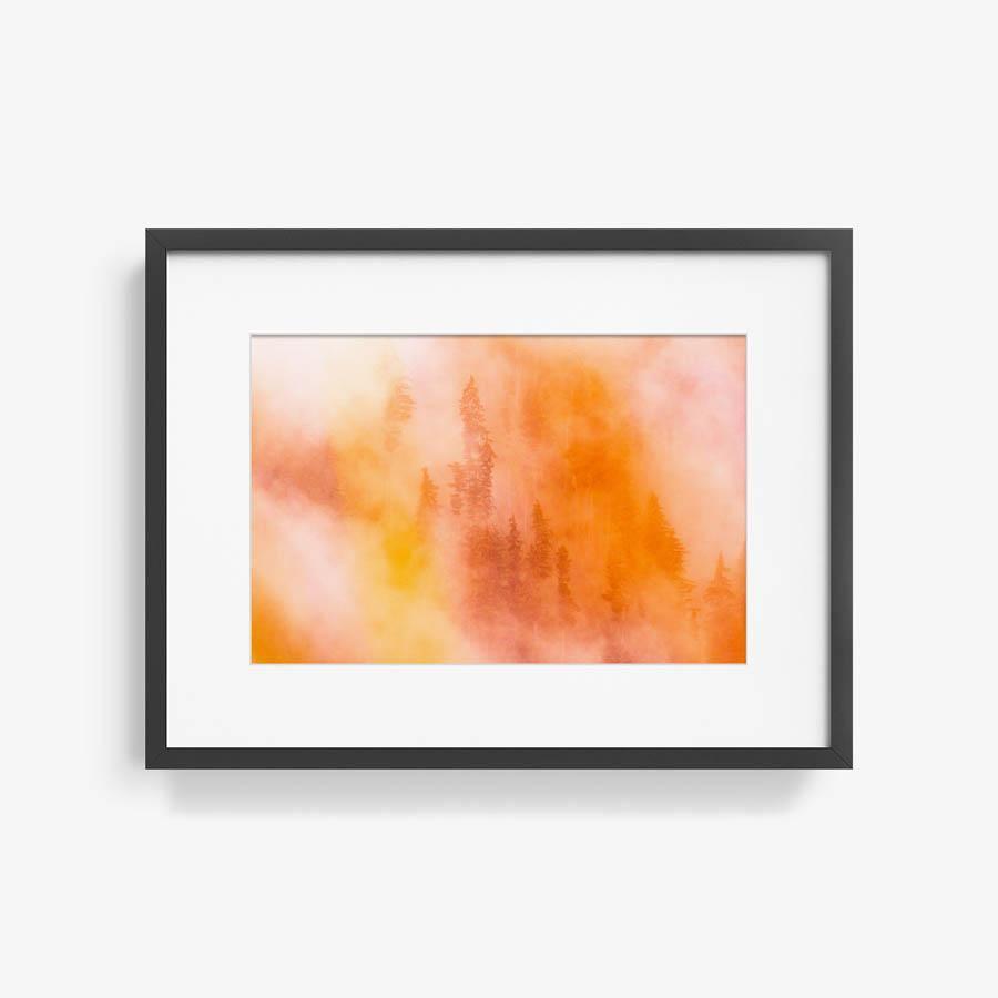 Photograph by Brian Merriam