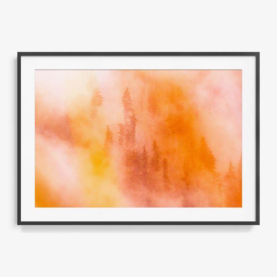 Photograph by Brian Merriam