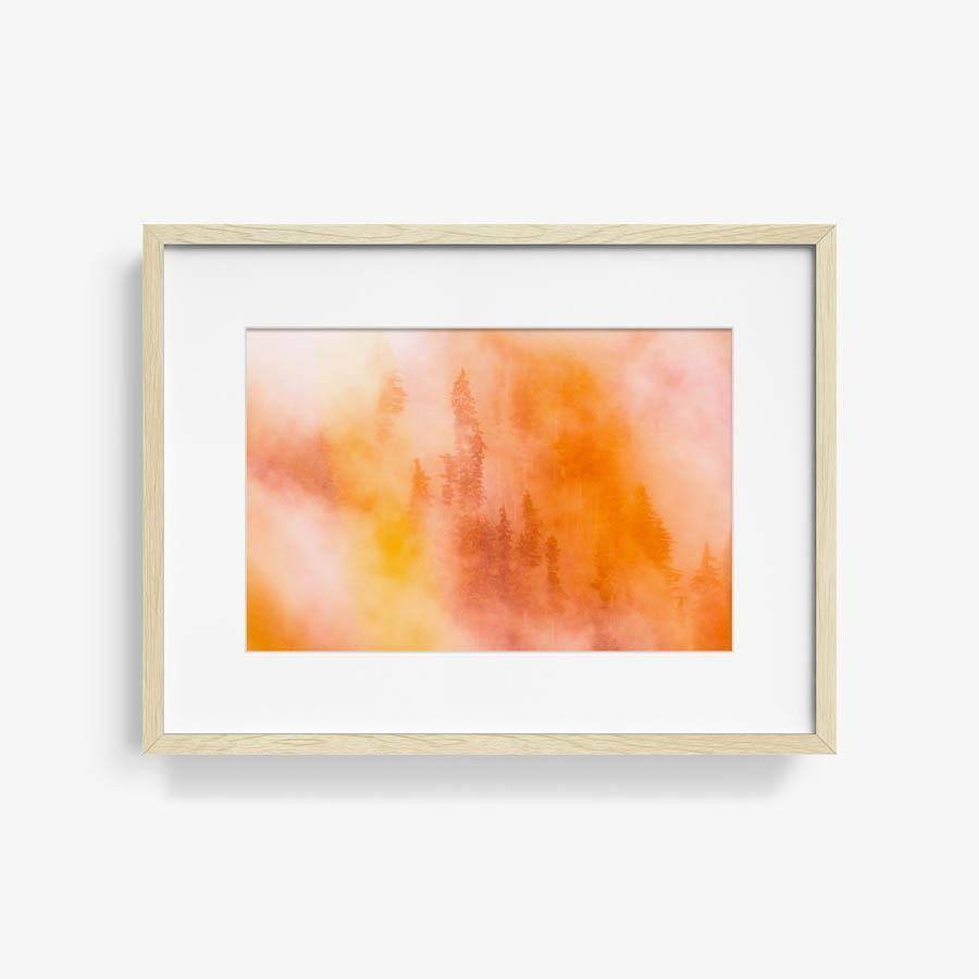 Photograph by Brian Merriam