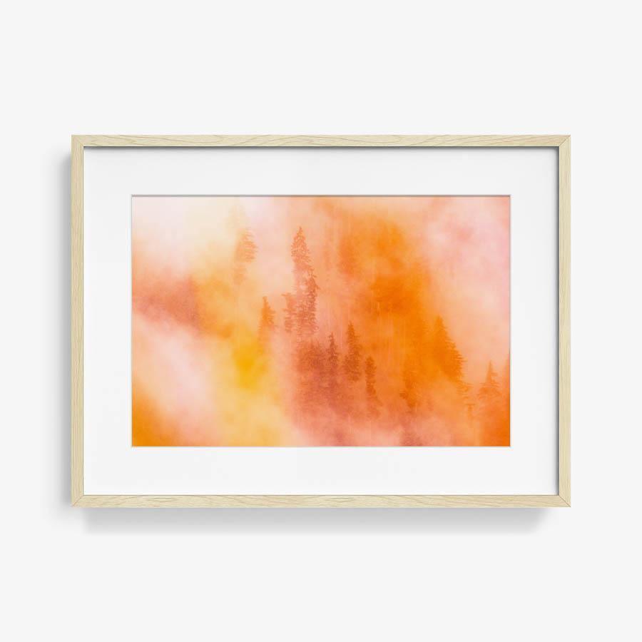 Photograph by Brian Merriam