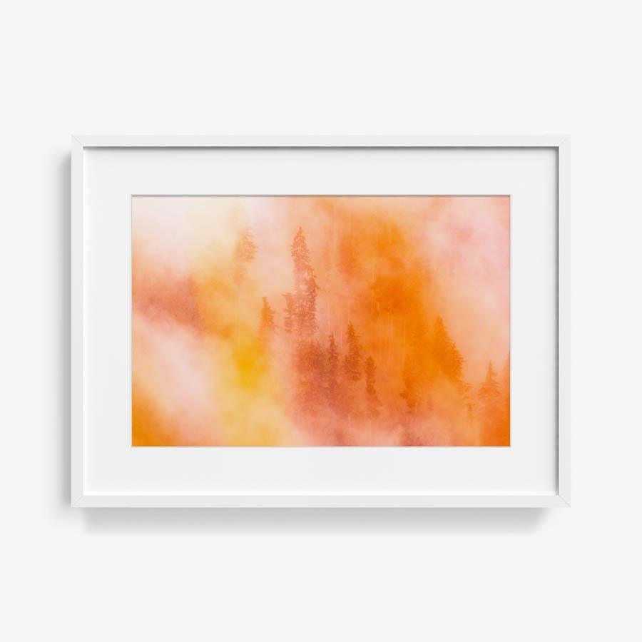 Photograph by Brian Merriam