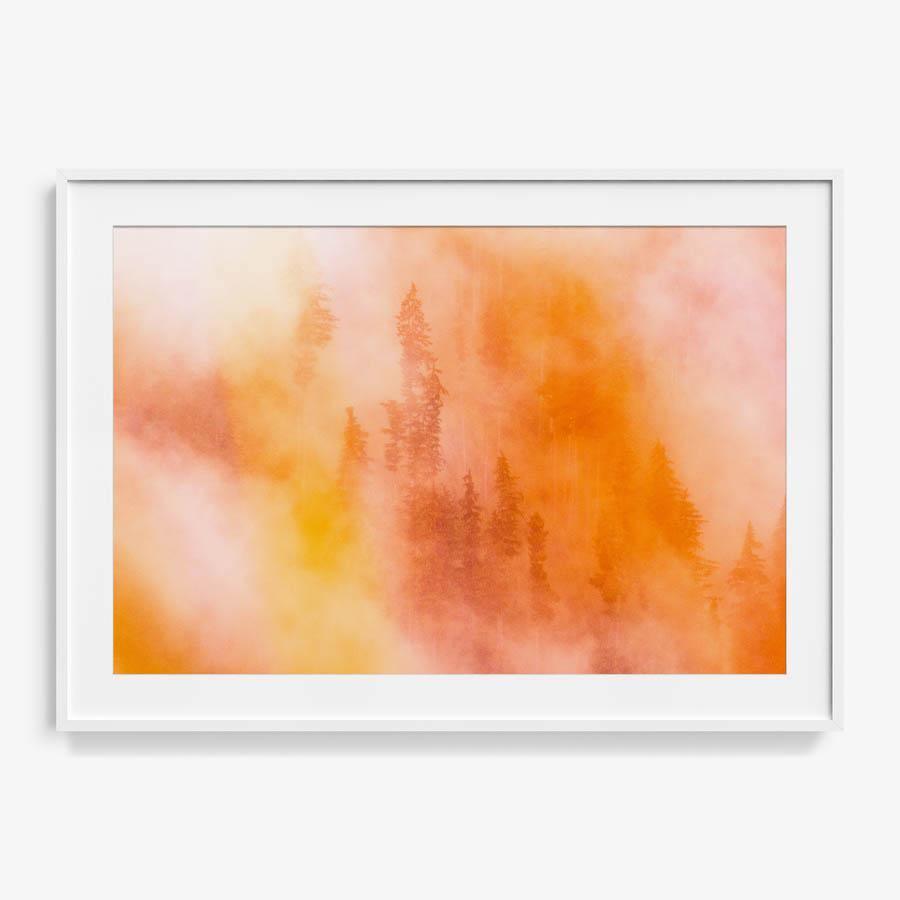 Photograph by Brian Merriam