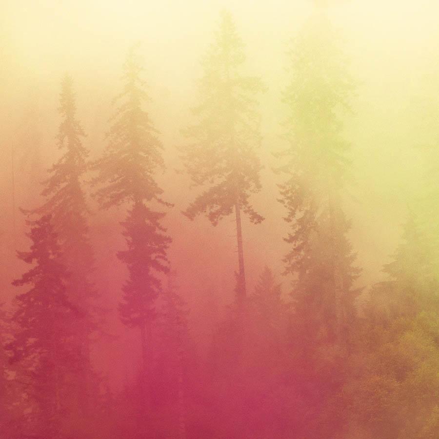 Photograph by Brian Merriam