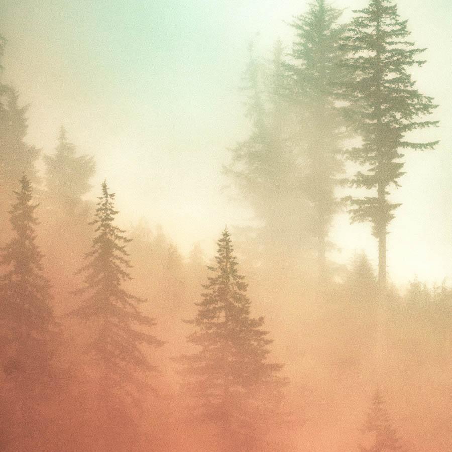 Photograph by Brian Merriam