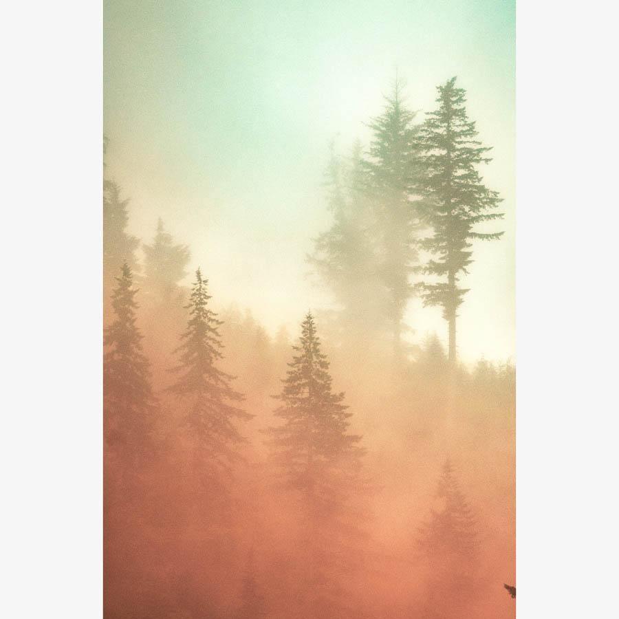 Photograph by Brian Merriam