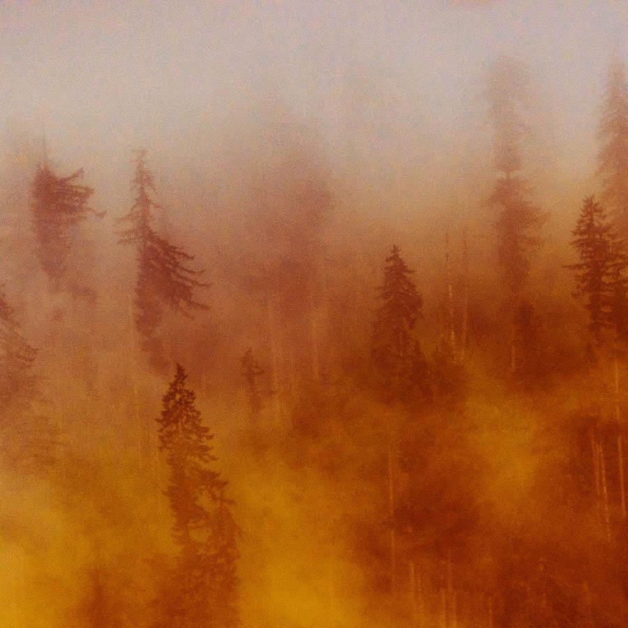 Photograph by Brian Merriam