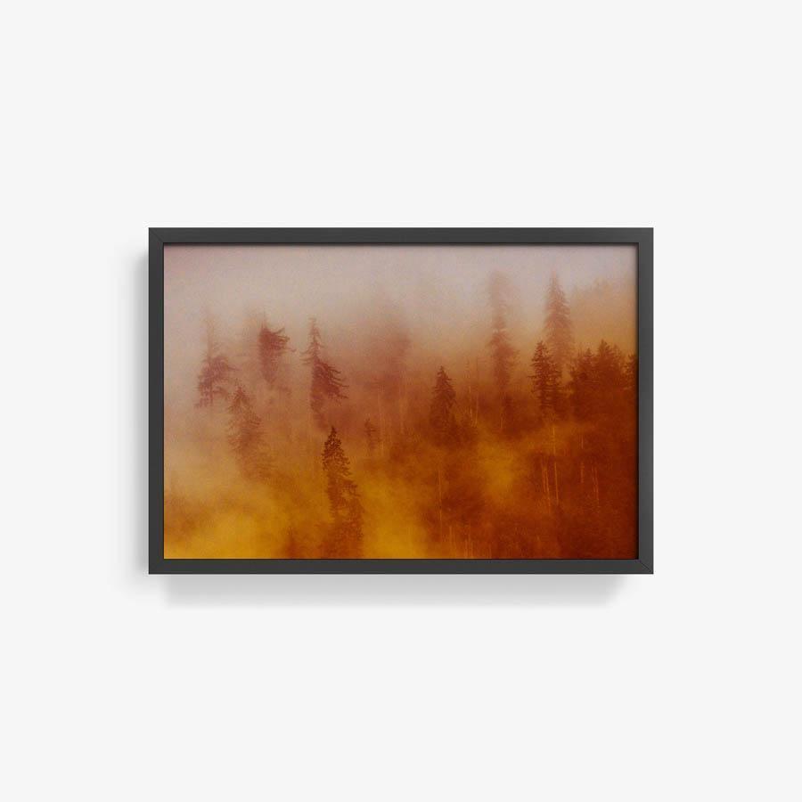 Photograph by Brian Merriam