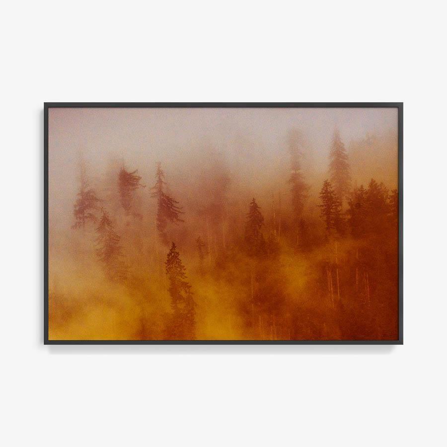 Photograph by Brian Merriam