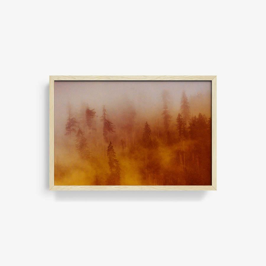 Photograph by Brian Merriam