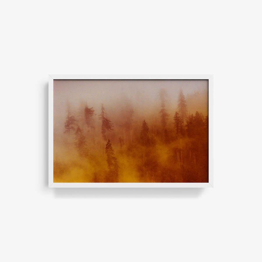 Photograph by Brian Merriam