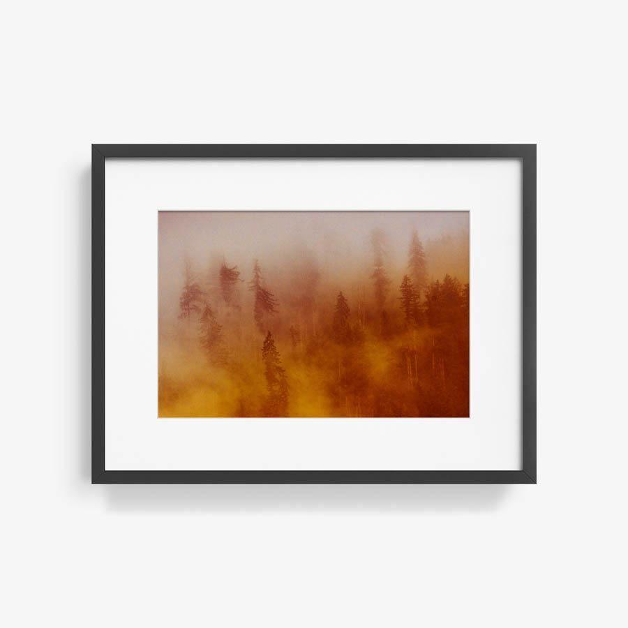 Photograph by Brian Merriam