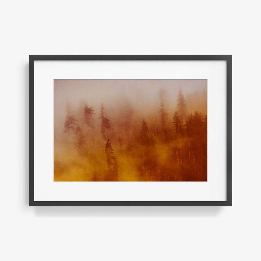 Photograph by Brian Merriam