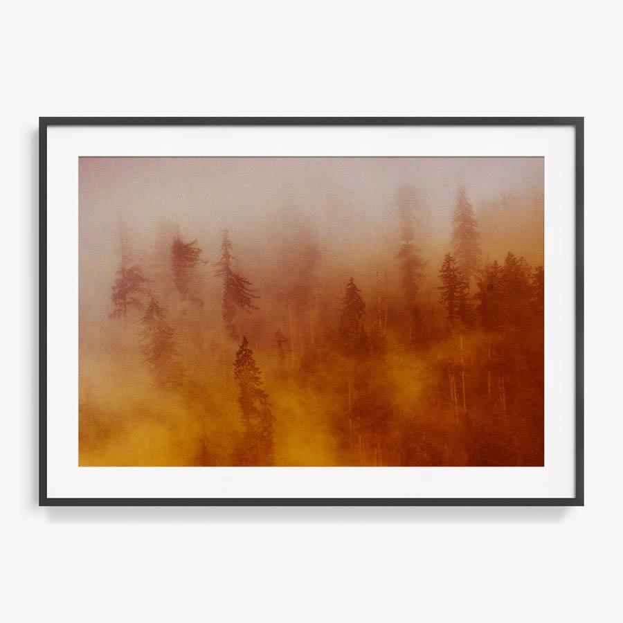 Photograph by Brian Merriam