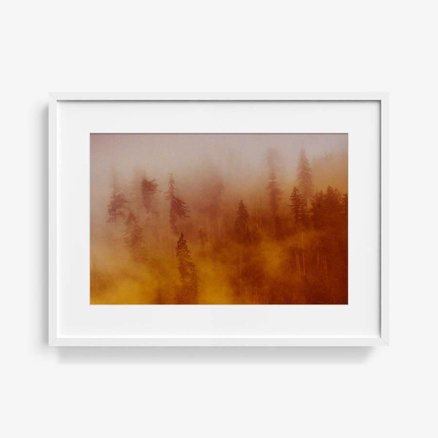 Photograph by Brian Merriam