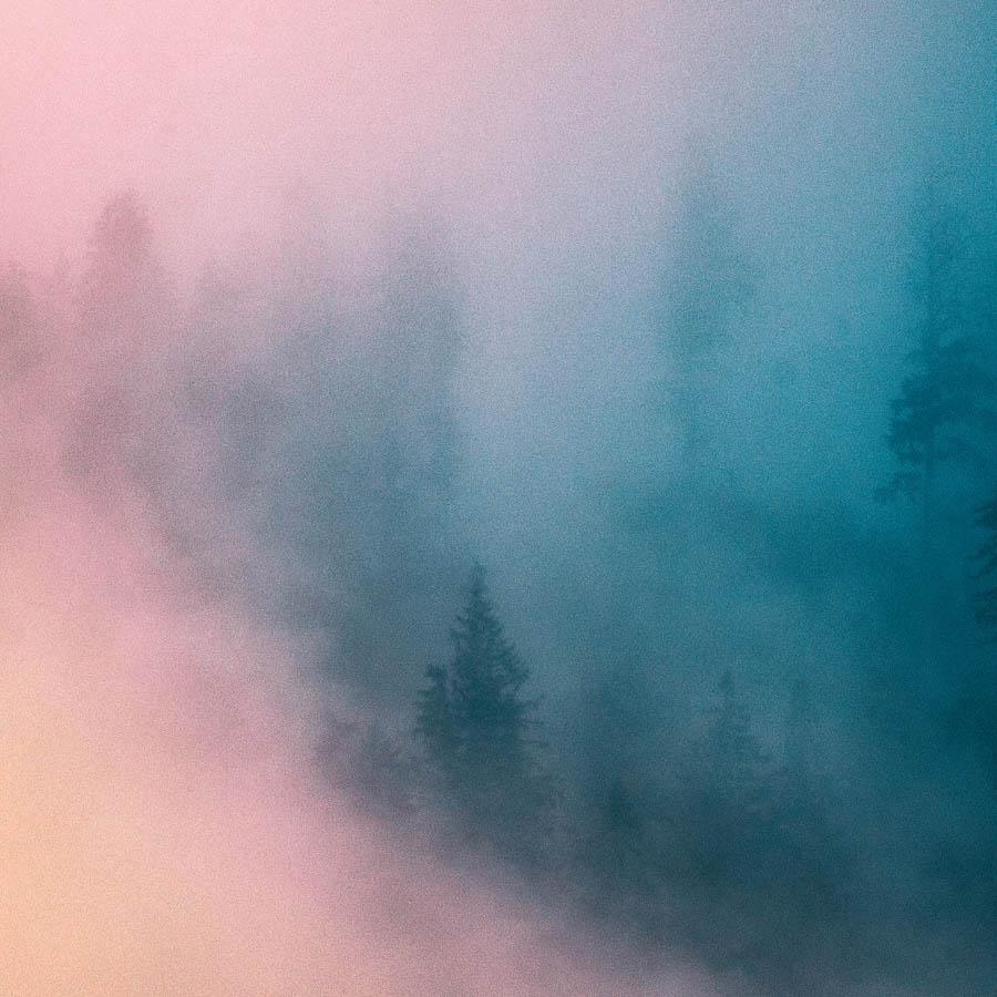 Photograph by Brian Merriam