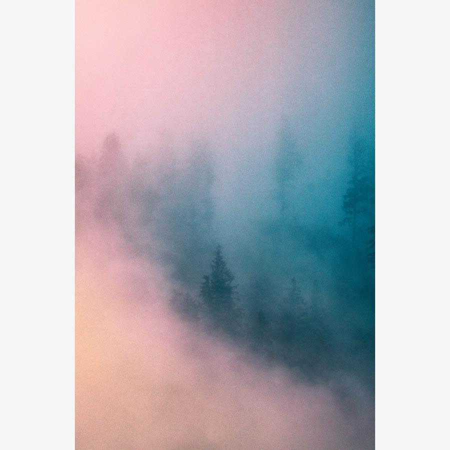 Photograph by Brian Merriam