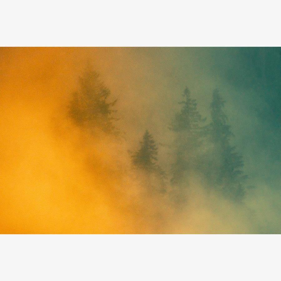 Photograph by Brian Merriam