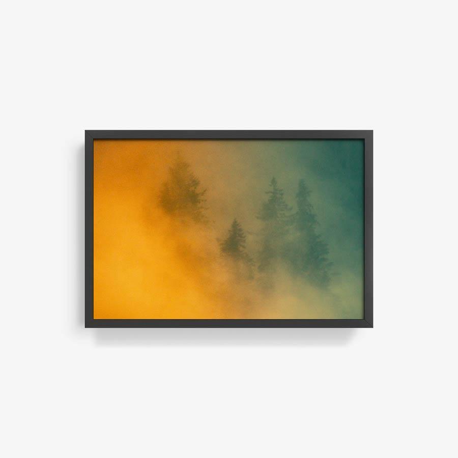 Photograph by Brian Merriam