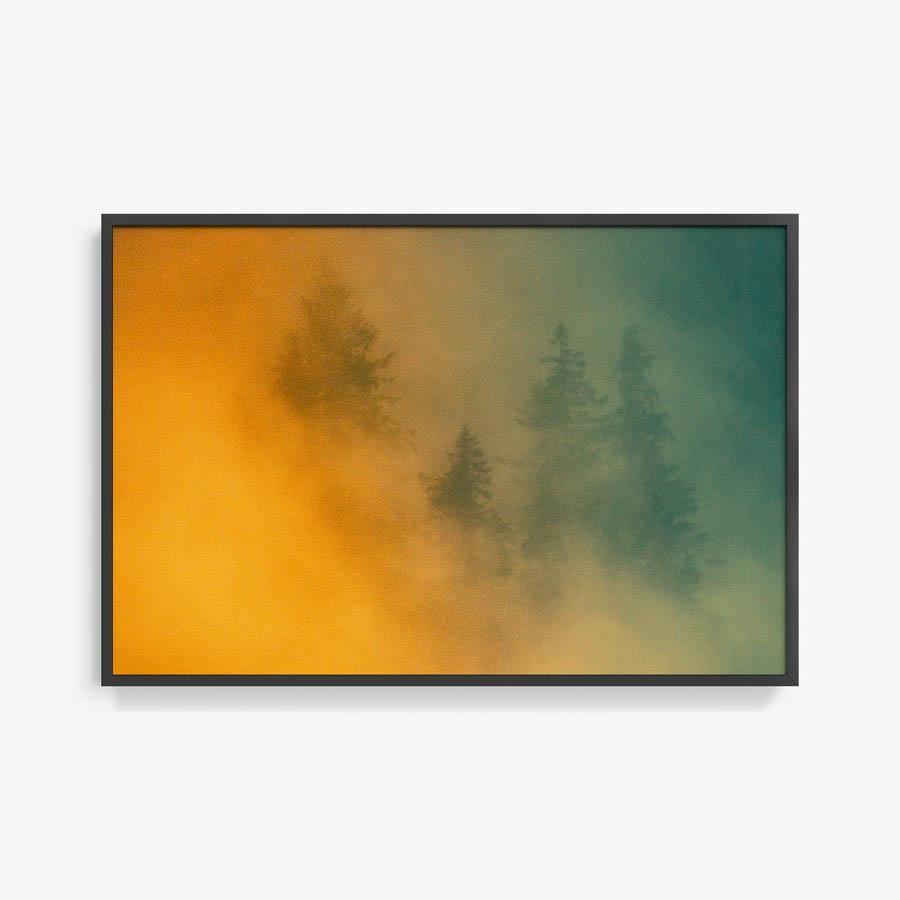 Photograph by Brian Merriam